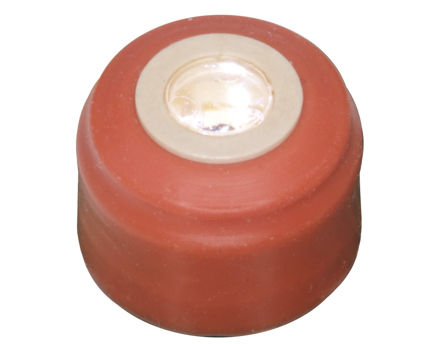 Rutronik interruptor