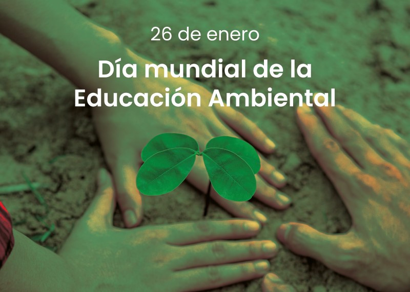 Noria sostenibilidad 2